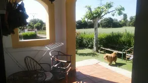 Casa Rural El Pinar - Image 2