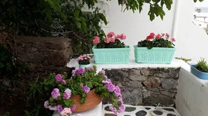 Yoga Guest House - Image 2