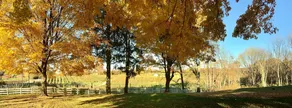 Harvest Bed & Breakfast - Image 3