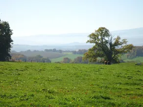 Camping des Prairies d' Auvergne - Image 5