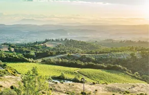 Podere Moricci - Image 4