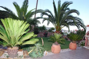 Villa Elena - Image 2