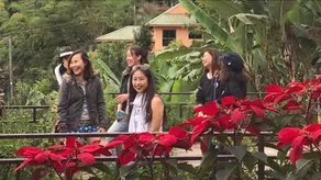Pong Yang Farm and Resort - Image 4