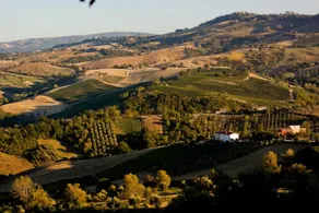 Agriturismo La Distesa - Image 3