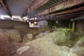 Green House - Image 4