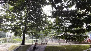 Kampung Janda Baik - Image 2