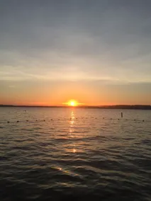 Ray Of Sunshine - Image 4