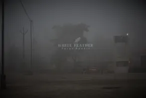 White Feather Toran Resort - Image 3