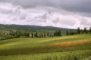 Bibbiano - Il Fico - Image 4