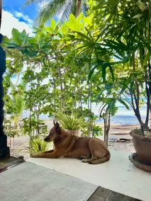 Beach Bungalow - Image 3
