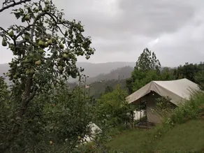 The camps of mukteshwar - Image 4