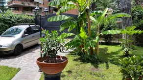Il Giardino di Giulia 2 - Image 2