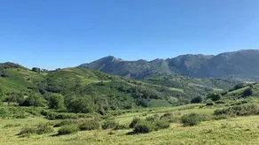 El Rincón Del Duende - Image 4