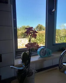 Vivas Apartment - Image 2