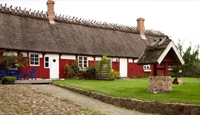 Vingården i Arild - Image 4