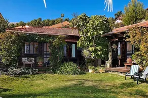 Miki's B&B Rosh Pina - Image 3