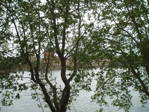 T2 Place St Pierre - Image 3