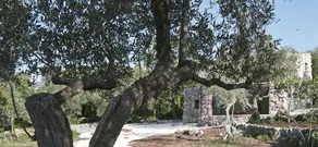 Dimora Casanoja - Image 2