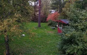 Beautiful 4 Bed Cottage in Elimaki With Wood Sauna - Image 2