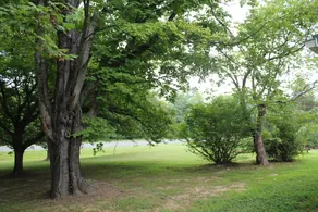Shawnee Trails Lodging & Suites - Image 2