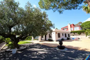 Villa Las Palmeras - Image 3