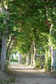 Chateau De Beaussais - Image 5