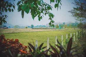 Kalm Pai Resort - Image 4
