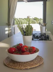 Afrala Summerhouse - Image 2