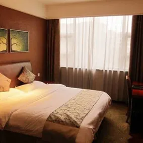 Giant Tree Hotel - Image 3