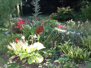 Taggart House Bed & Breakfast - Image 4