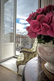 B&B Acanthus - Image 3