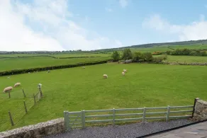 Hafan Haydn - Image 5