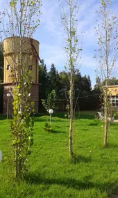 Elegant Villa in Laghnimyene with Private Pool - Image 2