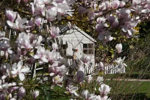 Whispering Cottages Bed and Breakfast - Image 2