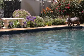 Stellendal Guest House - Image 4