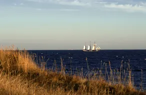 Bagenkop Kro - Image 4