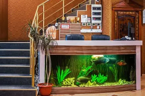 Venecia Hotel & SPA - Image 2