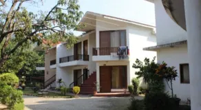 Tiger Kingdom - Image 1
