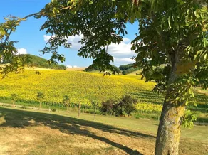 L Hermitage De Bidouchac - Image 4