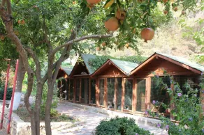Oranj Ranch (Orange & Ranch) - Image 4