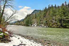 Rustic River Paradise Cabin - Image 3