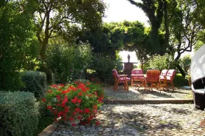 Podere Vitiano - Image 5