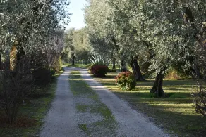 Casa Ulivo - Image 2
