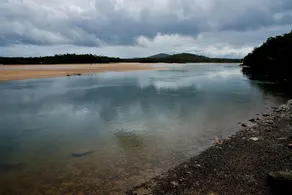 Ngaalgan - Image 5