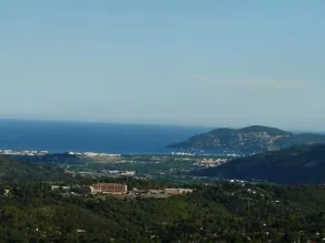 Les Palmiers - Image 4