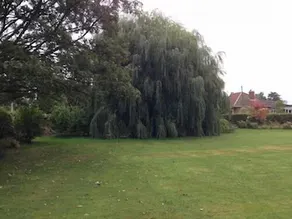 Primrose Lodge B&B - Image 5