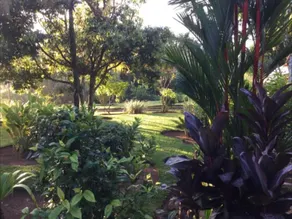 Hacienda de los Suenos - Image 2