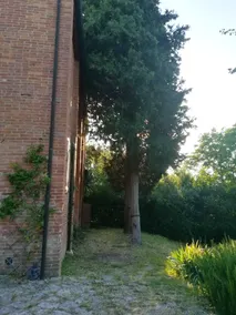 3 bedrooms villa with private pool enclosed garden and wifi at Osteria delle Noci - Image 5