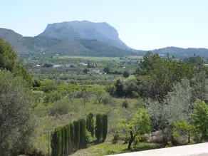 032 Villa Albardanera - Image 4