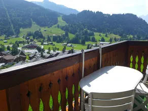Chalet Bel Air Ormont-dessus - Image 3